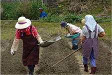 ���Y�i�̔����i��