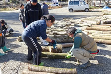 ���Y�i�̔����i��