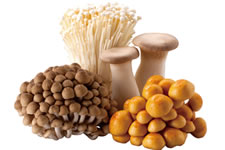 ���Y�i�̔����i��