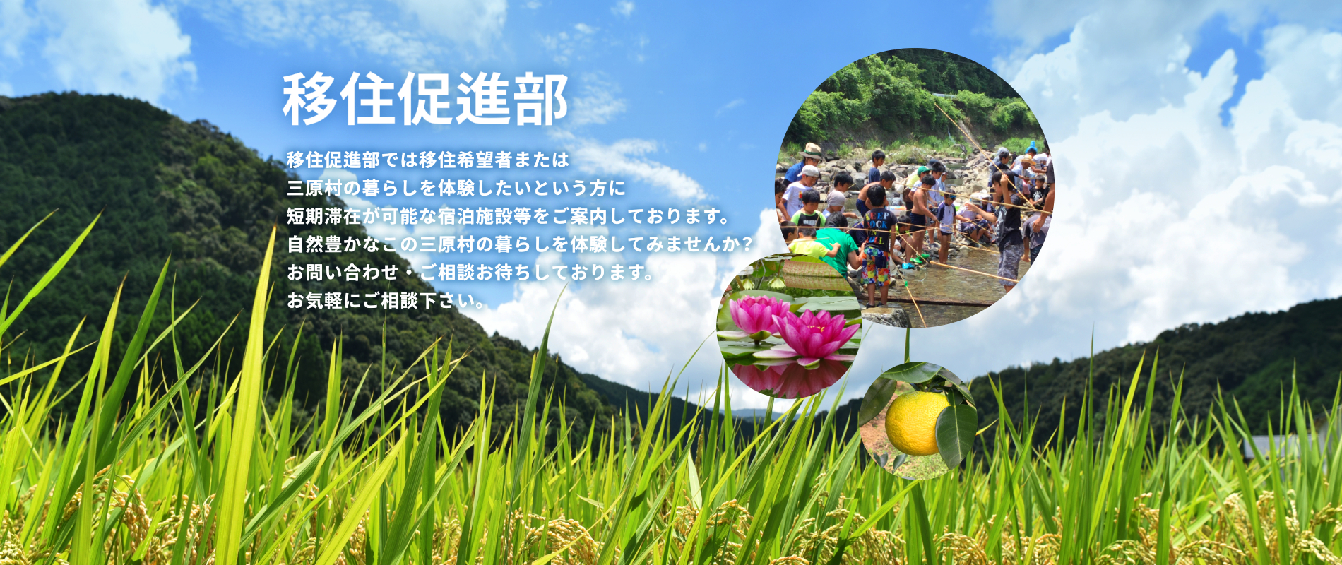 �ڏZ���i��