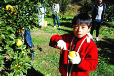 �ڏZ���i��