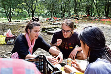 �ڏZ���i��