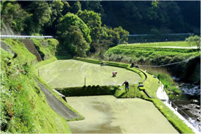 �i��Ёj�O�����W�������Z���^�[��܂т�