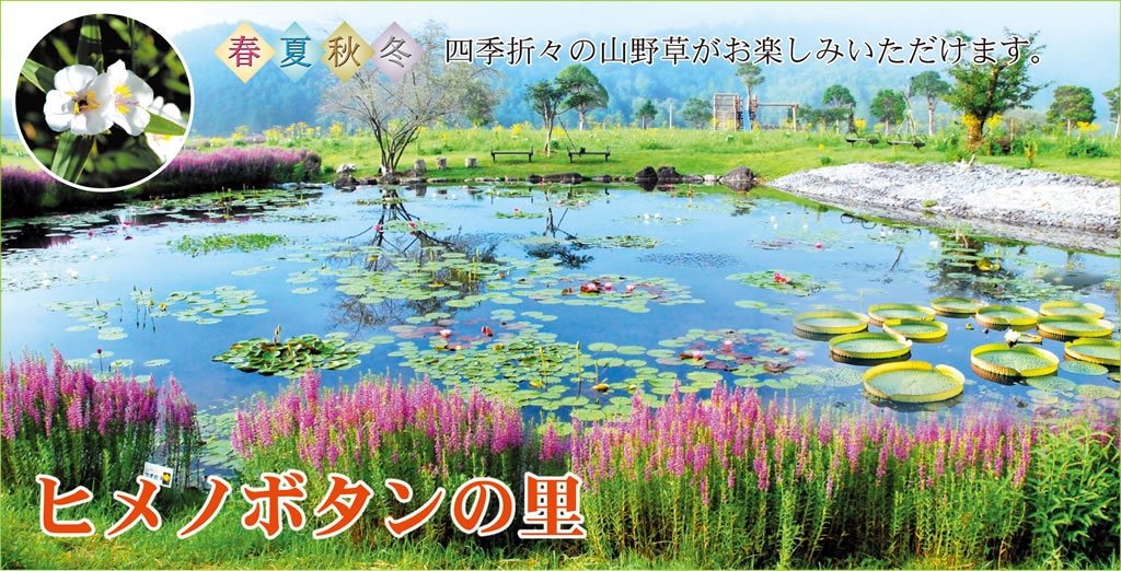 �O�����W�������Z���^�[��܂т� �ό���