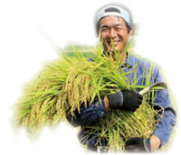 ���ʍ͔|�ā@�����̂������@�@-�ߌ��Ώ۔_��̎g�p��-